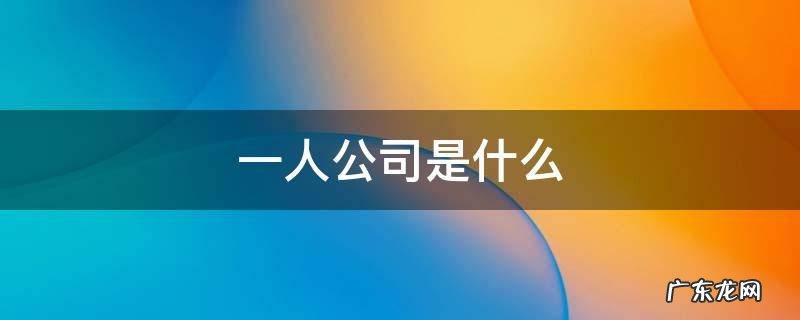 一人公司是什么公司 一人公司是什么