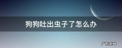 狗狗吐出虫子了怎么办 狗狗吐出来虫子是怎么回事