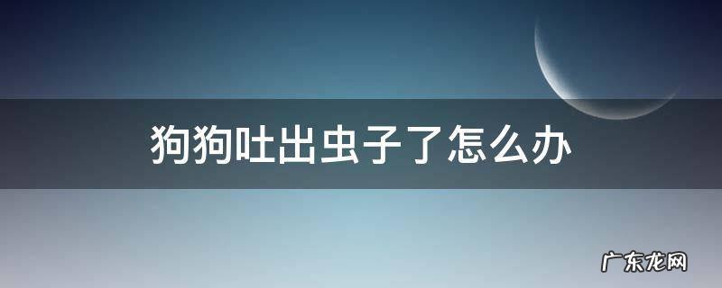 狗狗吐出虫子了怎么办 狗狗吐出来虫子是怎么回事