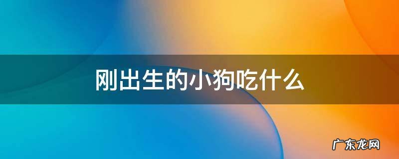 刚出生的小狗吃什么比较好 刚出生的小狗吃什么