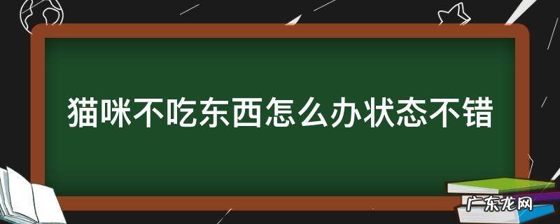 猫咪不吃东西怎么办状态不错 猫咪不吃东西该怎么办