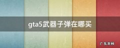 gta5武器子弹在哪买