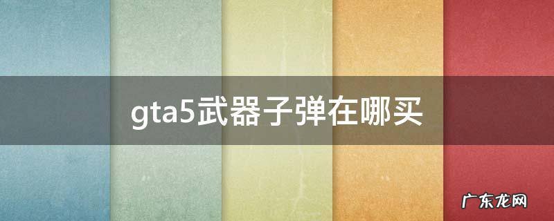 gta5武器子弹在哪买