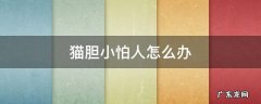 猫胆小怕生人怎么办 猫胆小怕人怎么办