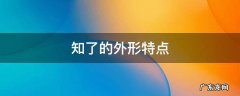 知了的外形特点 知了的外形特点和生活特征