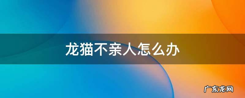 龙猫 不亲人 龙猫不亲人怎么办