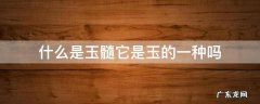 什么是玉髓它是玉的一种吗 玉髓也是玉的一种吗
