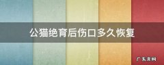 公猫绝育后伤口多久恢复 公猫绝育完伤口多久愈合