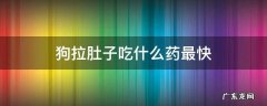 狗拉肚子吃什么药最快人吃的药 狗拉肚子吃什么药最快