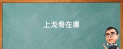上龙骨在哪 上龙骨在哪里获得