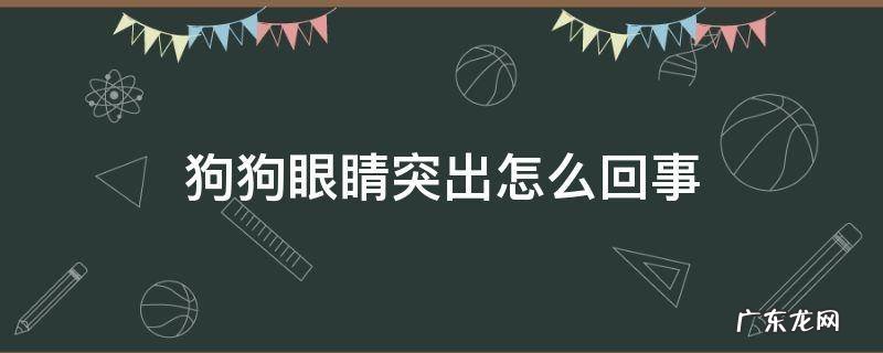 狗狗眼睛突出怎么回事 狗狗眼睛凸出来