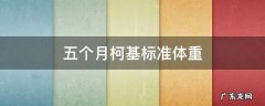 五个月柯基标准体重 五个月公柯基标准体重