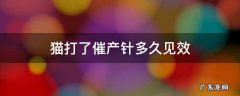 猫打催产针多久见效果 猫打了催产针多久见效
