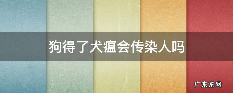 狗得了犬瘟会传染人吗 犬瘟人会被传染吗