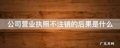 公司营业执照不注销的后果是什么 公司营业执照不注销的后果是什么意思