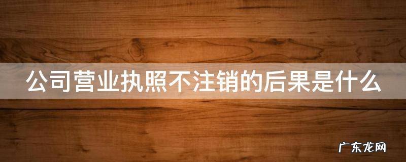 公司营业执照不注销的后果是什么 公司营业执照不注销的后果是什么意思