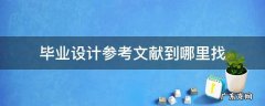 毕业设计的文献在哪里找 毕业设计参考文献到哪里找