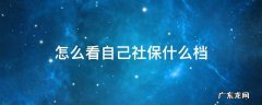 怎么看自己社保什么档次 怎么看自己社保什么档