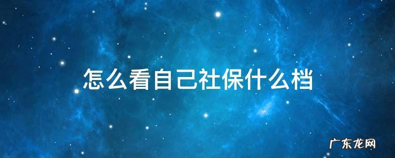 怎么看自己社保什么档次 怎么看自己社保什么档