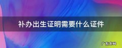 补办出生证明需要什么证件,去哪里补办 补办出生证明需要什么证件