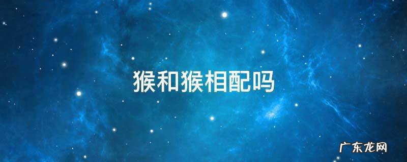 猴和猴相配好不好 猴和猴相配吗