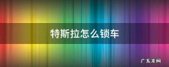 特斯拉怎么锁车? 特斯拉怎么锁车