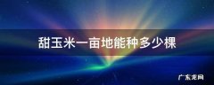 甜玉米一亩地能种多少棵 一亩地能栽多少棵玉米