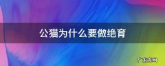 公猫为什么要做绝育 公猫为什么要做绝育手术