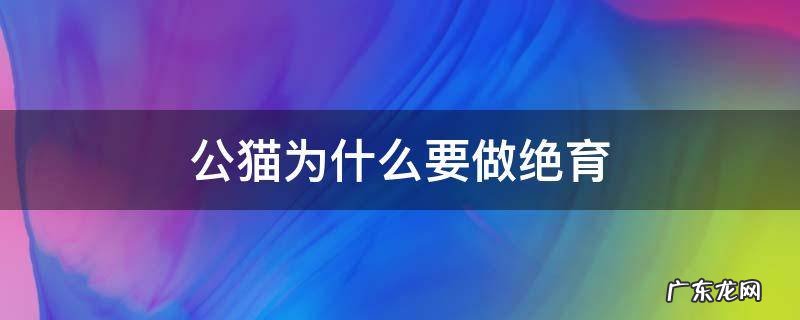 公猫为什么要做绝育 公猫为什么要做绝育手术