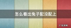 怎么看出兔子配没配上 怎么看兔子可以配对了