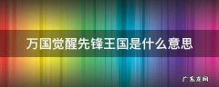 万国觉醒先锋王国是啥意思 万国觉醒先锋王国是什么意思