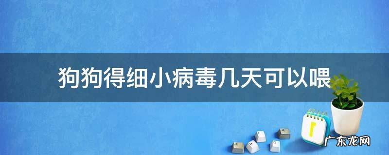 狗狗得细小病毒几天可以喂 狗狗细小病毒痊愈后几天能喂食