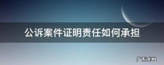 民事诉讼中的证明责任如何承担 公诉案件证明责任如何承担