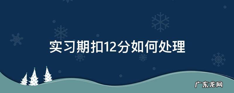实习期扣12分如何处理