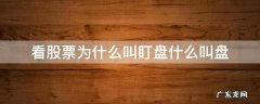 看股票为什么叫盯盘什么叫盘 股票为什么要盯盘
