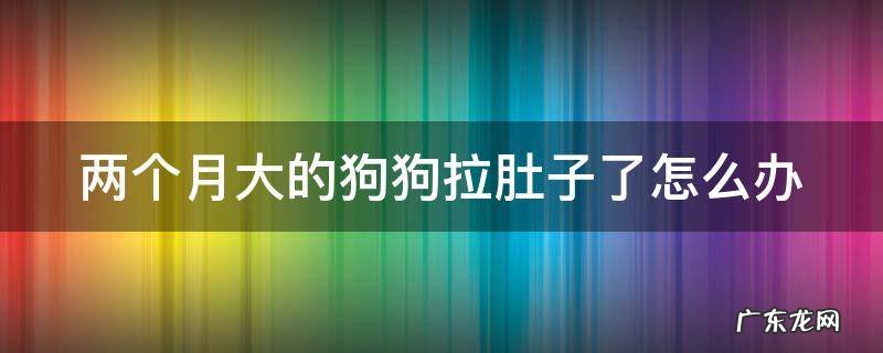 两个月大的狗狗拉肚子了怎么办 两个月大的狗狗拉肚子了怎么办吃什么药