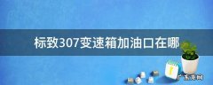 标致307手动挡变速箱油加油口在哪 标致307变速箱加油口在哪