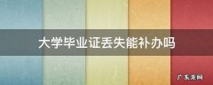 大学毕业证丢失能补办吗 大学毕业证丢了可以补办么