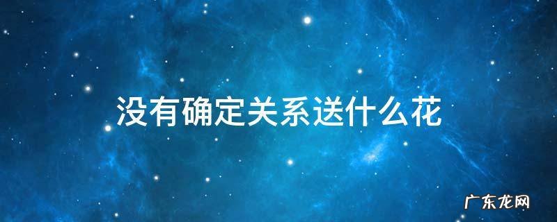 没有确定关系送什么花好 没有确定关系送什么花