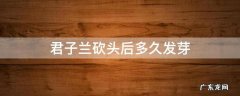 君子兰什么时候割去头让它重新发芽 君子兰砍头后多久发芽