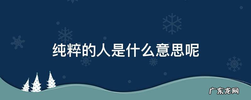 纯粹的人的意思 纯粹的人是什么意思呢
