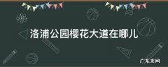 洛浦公园樱花大道在哪儿 洛浦公园樱花长廊