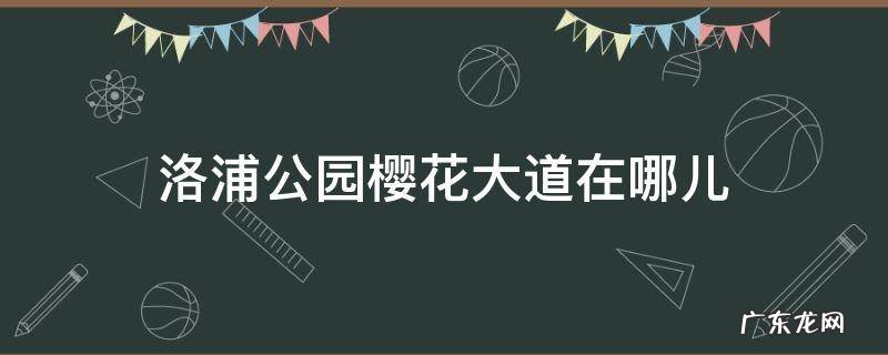 洛浦公园樱花大道在哪儿 洛浦公园樱花长廊
