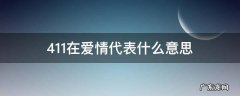 411在爱情代表什么意思 411是什么意思