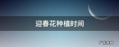 迎春花什么时间栽好 迎春花种植时间