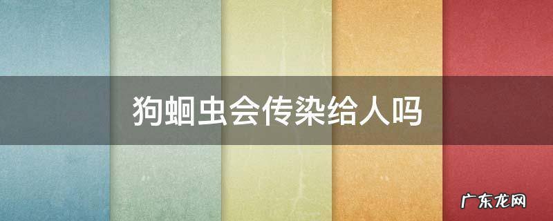 狗蛔虫会传染给人吗 狗狗蛔虫病会不会传染给人