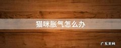 猫咪胀气怎么办快速排气 猫咪胀气怎么办