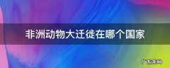 非洲动物大迁徙的动物种类 非洲动物大迁徙在哪个国家