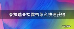 泰拉瑞亚松露虫怎么快速获得 泰拉瑞亚怎样快速获得松露虫