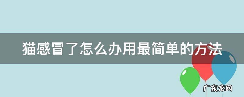 猫咪感冒了喂什么药 猫感冒了怎么办用最简单的方法